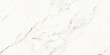  - Calacatta Reale Silk