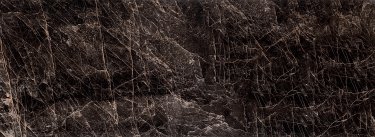  - Auber Brown